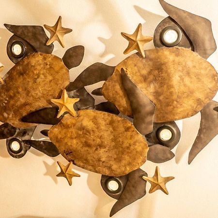 5 Frogs Hotel Bucerías エクステリア 写真